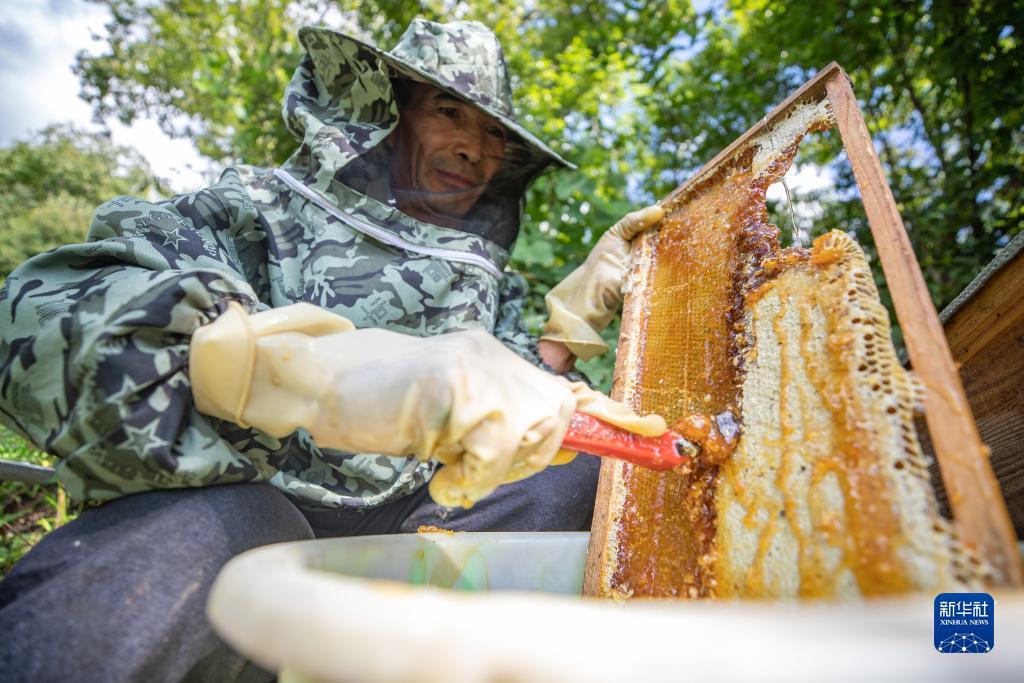 九洲娱乐平台